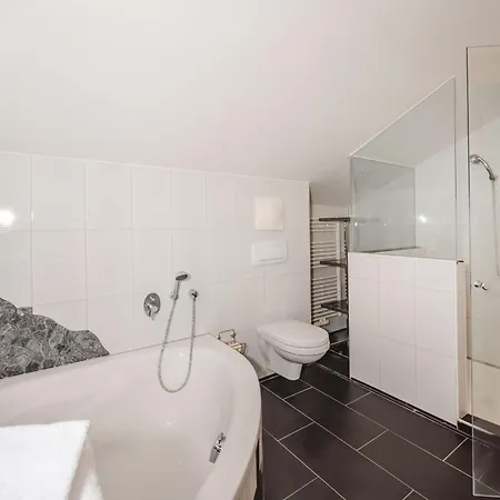 Franz By Interhome Tatil Evi Zell am See